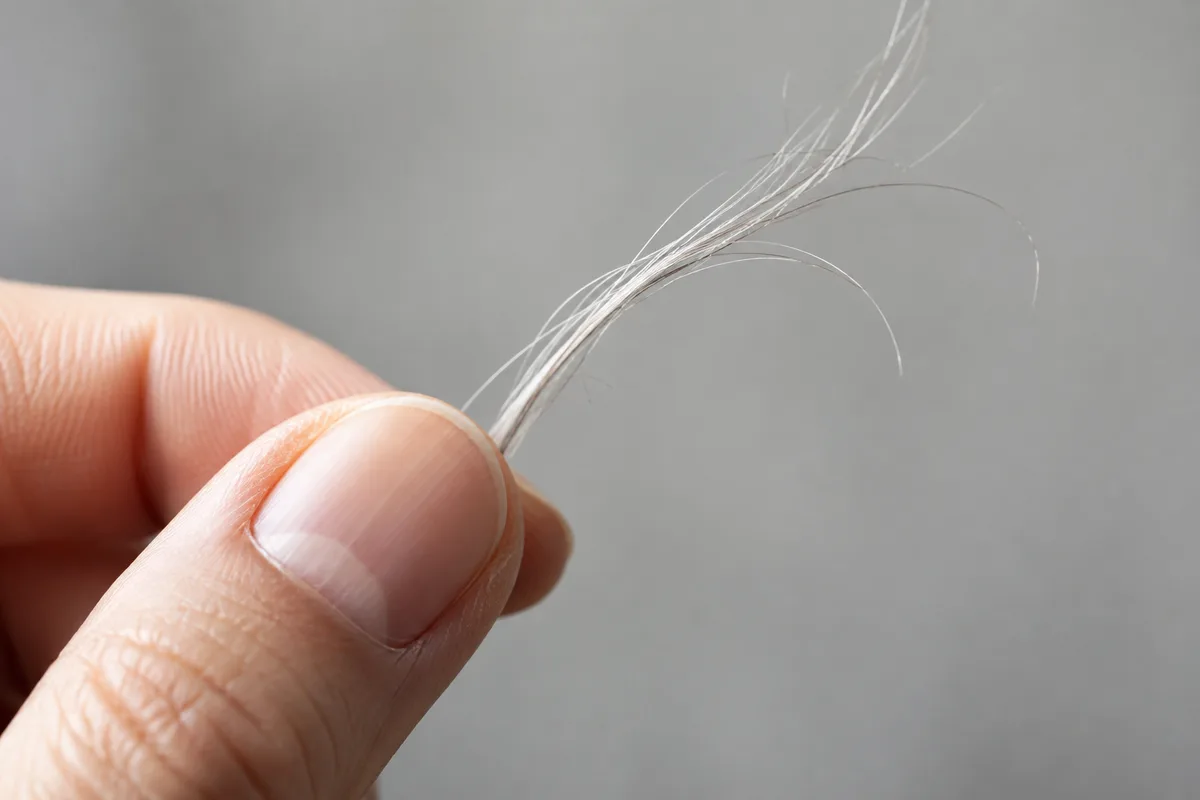 Mèche de cheveux blancs tenue entre deux doigts en gros plan sur fond clair